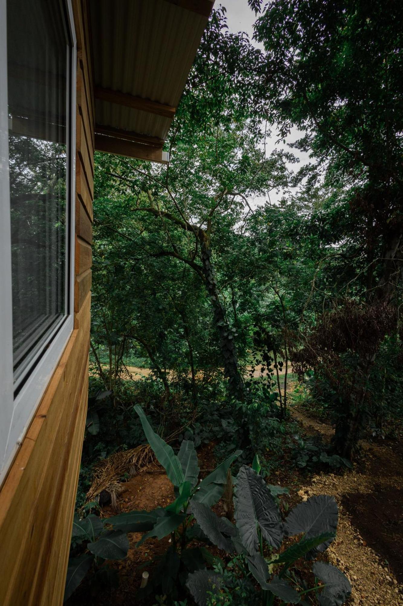 Monkey Tiny House - Private Swimming Pool Villa Big Bight Eksteriør bilde